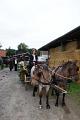 DSC01306.jpg