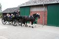 DSC01410.jpg