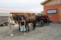 DSC03221.jpg