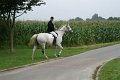 DSC03228.jpg