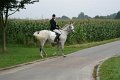 DSC03229.jpg