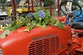 DSC03240.jpg