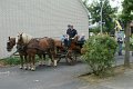 DSC03269.jpg