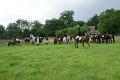 DSC03280.jpg