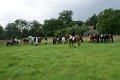DSC03281.jpg
