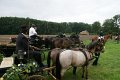 DSC03303.jpg
