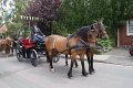 dsc06874.jpg