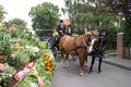 dsc06875.jpg