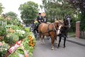 dsc06876.jpg