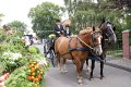 dsc06878.jpg