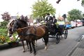 dsc06879.jpg