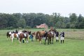 dsc06906.jpg