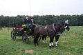 dsc06907.jpg