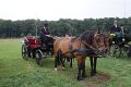 dsc06909.jpg