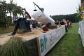 dsc06919.jpg