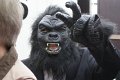 dsc06966.jpg