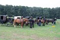 2010_08_08_erntefestumzug_030.jpg