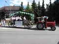 IMG_1546.jpg