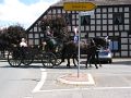 IMG_1552.jpg