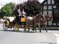 IMG_1553.jpg