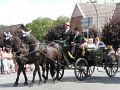 IMG_1636.jpg