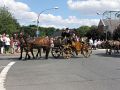IMG_1638.jpg