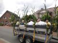 image050.jpg