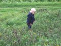 img_3427.jpg