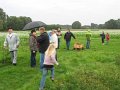 img_3428.jpg