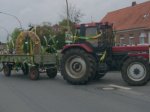 Die Erntekrone (Foto: D.Herrmann)